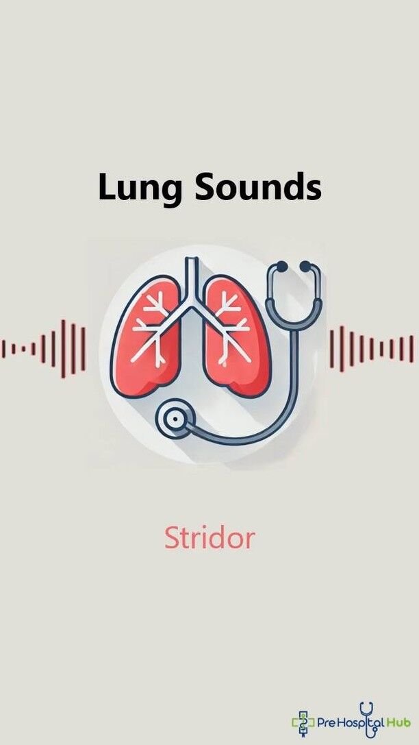 🎧 Lung Sounds: Stridor

Stridor is a harsh, high-pitched sound most commonly heard during inspiration. It results from partial obstruction of the upper airway, and the sound is often loud enough to be heard without a stethoscope. Stridor typically suggests a narrowing of the trachea or larynx.

Stridor is a hallmark of upper airway obstruction, often due to conditions such as epiglottitis, anaphylaxis, croup, or foreign body aspiration. It can also be seen in traumatic injuries to the neck or airway, tumours in the airway, or laryngeal oedema following intubation.

Read more on lung sounds here: www.prehospitalhub.co.uk/lung-sounds-respiratory-auscultation-sounds

#lungsounds #respiratory #medicalnotes #medicaleducation #medicalstudents #mednotes #medic #paramedicscience #paramediceducation #studentparamedics #nurseeducation #nursestudent #nursenotes #pathophysiology #lungs